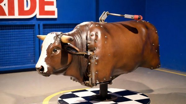 Louez un taureau mécanique pour des soirées mémorables !